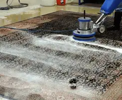 Professional rug cleaning with a rotary floor machine and shampoo foam, deep-cleaning an area rug, in Philadelphia, PA.
