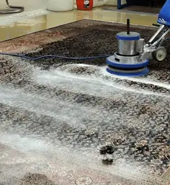 Professional rug cleaning with a rotary floor machine and shampoo foam, deep-cleaning an area rug Philadelphia, PA.
